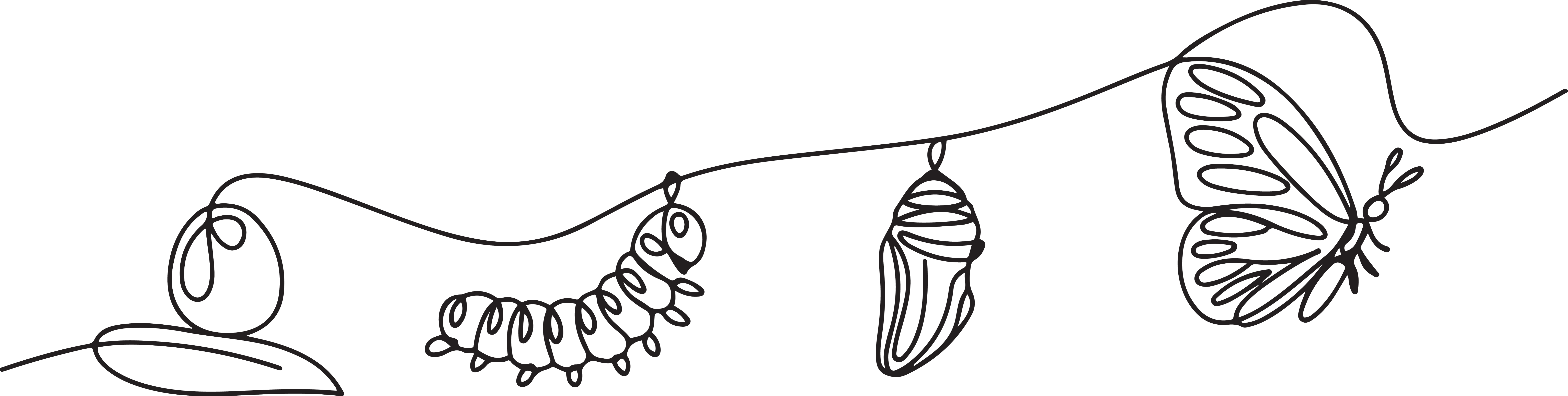 Single-line drawing of the butterfly life cycle — egg, caterpillar, chrysalis, butterfly — connected by one continuous thread. The visual arc of Exalted Quest: Earthbound, The Dark, Flight.
